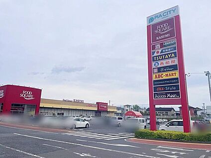ピアシティ石岡 2260m(徒歩29分/車で5分)