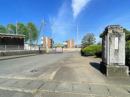 石岡市立石岡中学校 1300m(徒歩17分/自転車6分)