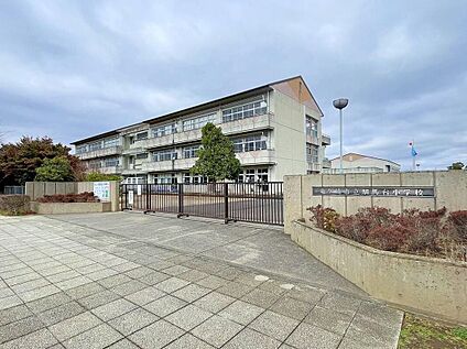 龍ケ崎市立馴馬台小学校 170m(徒歩3分)