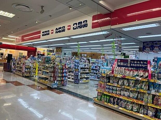 ココカラファイン公津の杜店（約1,517m）