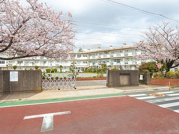 四街道市立山梨小学校(約555m)