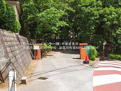 千葉市立加曽利中学校 569ｍ(徒歩8分)