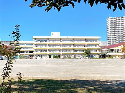 志木市立 志木第四小学校 800m(徒歩10分)