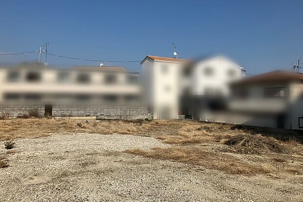 現地写真(2026年2月撮影)