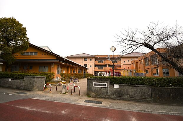 佐古小学校(約791m)