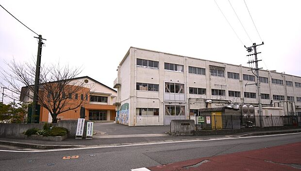 城東小学校(約1,100m)