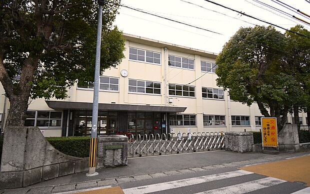 城西中学校（約450m）