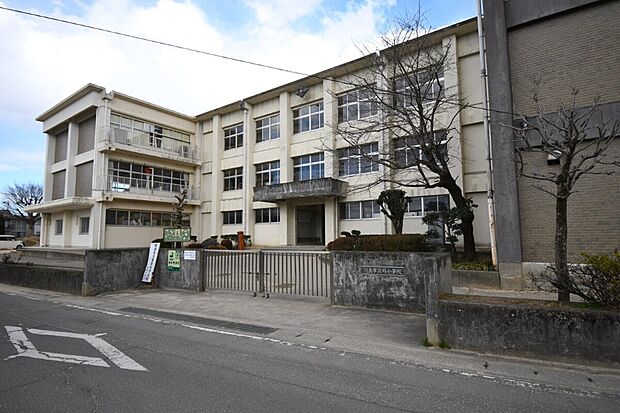 国府小学校（約800m）
