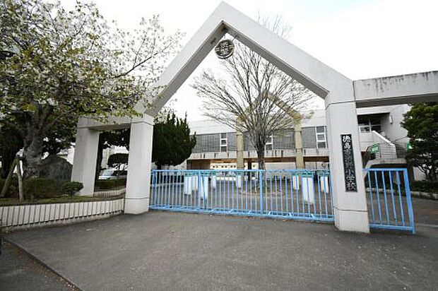 徳島市立渋野小学校