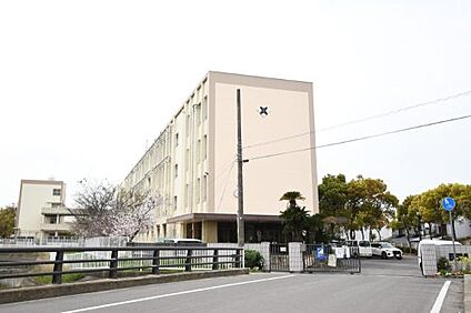 高松市立木太南小学校 徒歩800m