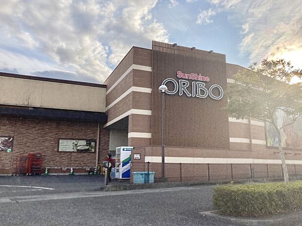 サンシャインオリビオ店（約243m）