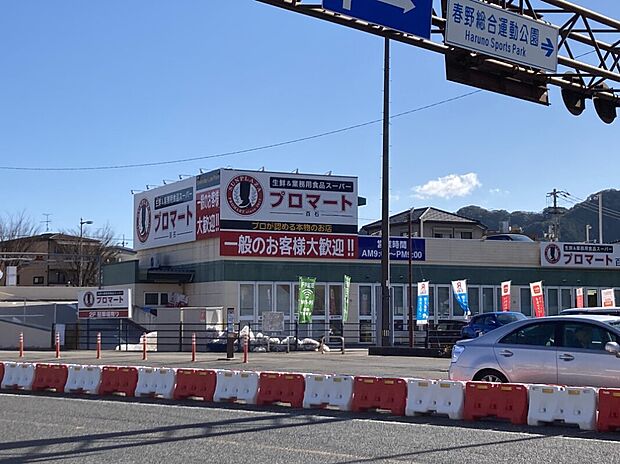 プロマート百石店（約550m）