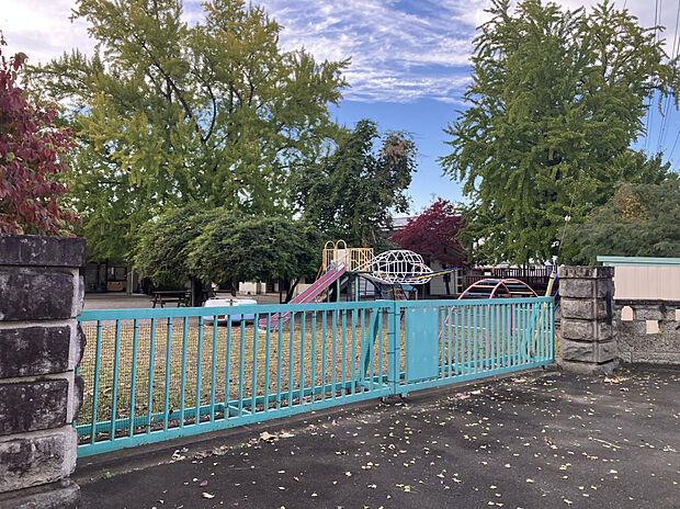 金山幼稚園(約781m)