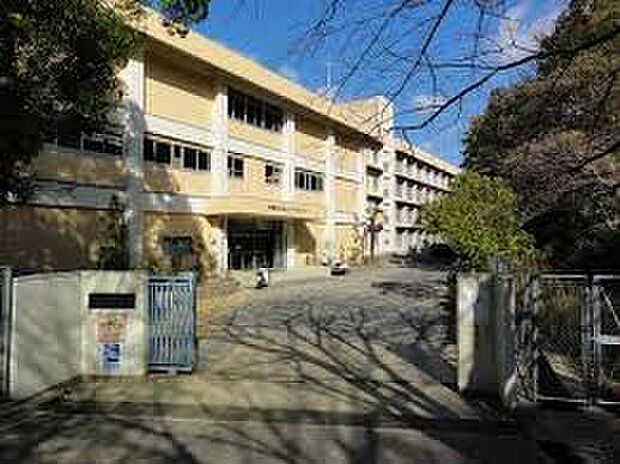 明石市立朝霧中学校（約800m）