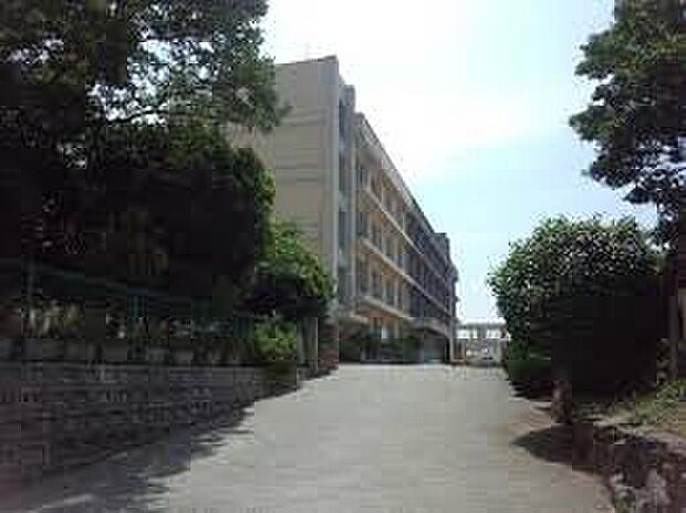 明石市立大蔵中学校（約190m）