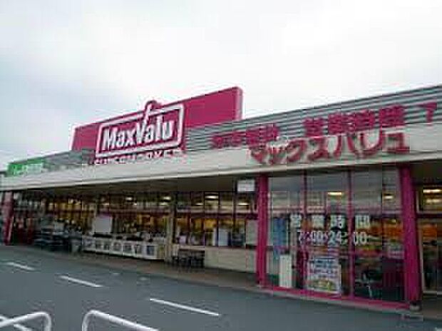 マックスバリュ恵比須店(約1,500m)