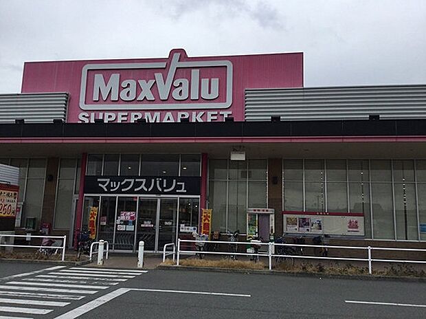 マックスバリュ野口店(約620m)