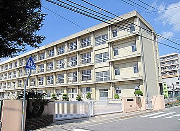 明石市立錦浦小学校（約1,200m）