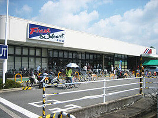 マルアイ木村店(約1,500m)