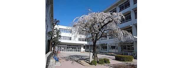 姫路市立荒川小学校(約1,600m)