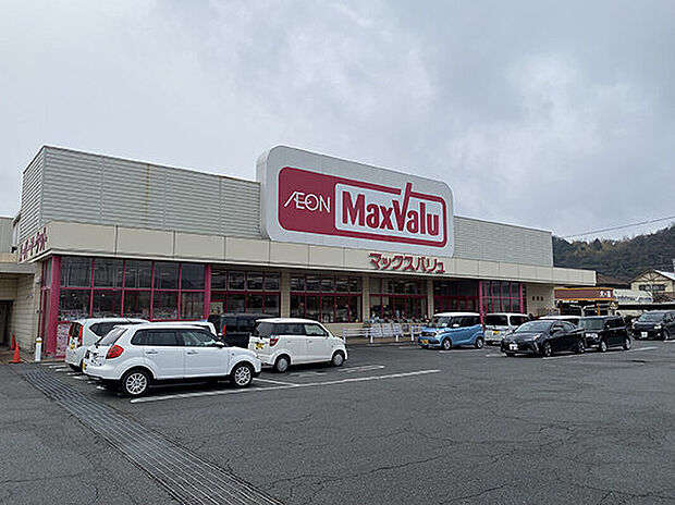 マックスバリュ岡田店(約1,100m)