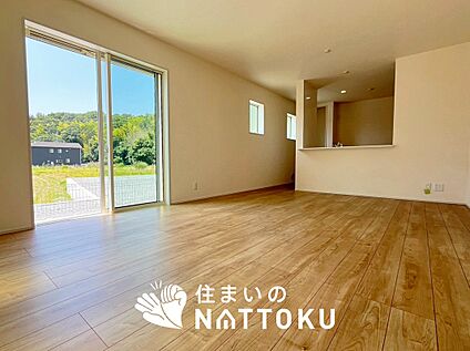現地写真(リビング)
