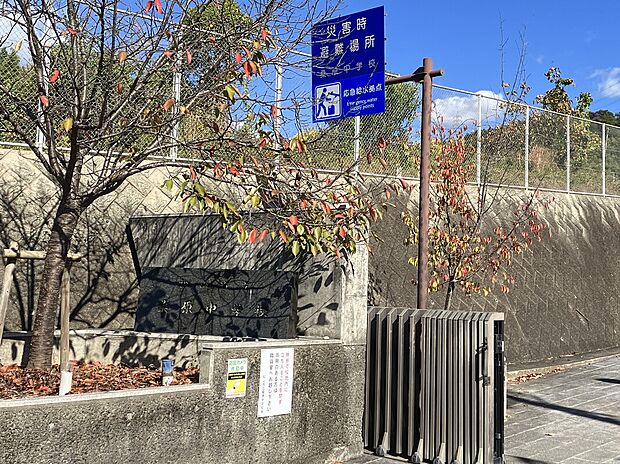 松山市立桑原中学校（約900m）