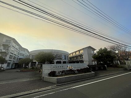 松山市立城西中学校 1300m(徒歩17分)