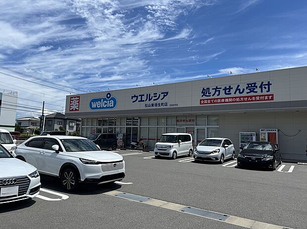 ウエルシア松山東垣生町店（約800m）