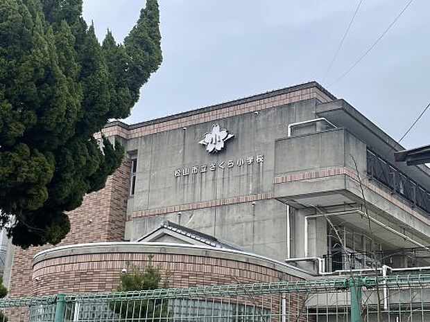 松山市立さくら小学校