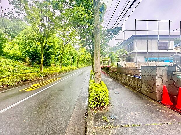 前面道路含む現地写真