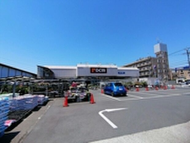 DCM小金井店(約865m)