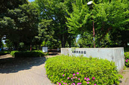 諏訪の森公園 約450ｍ