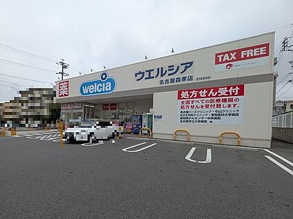ウエルシア名古屋森孝店 徒歩316m
