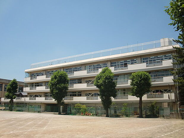 田無第四中学校(約700m)