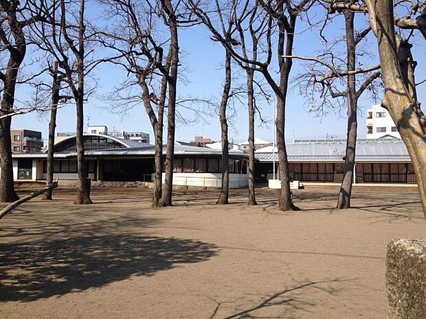 観泉寺幼稚園(約350m)