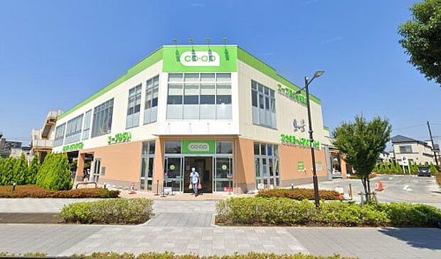 コープ国分寺内藤店(約350m)