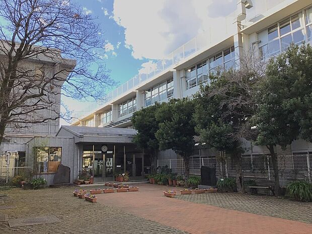 奥沢中学校(約240m)