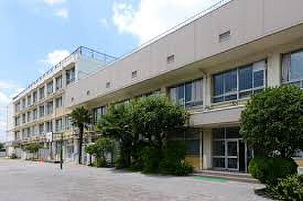 羽沢小学校(約800m)