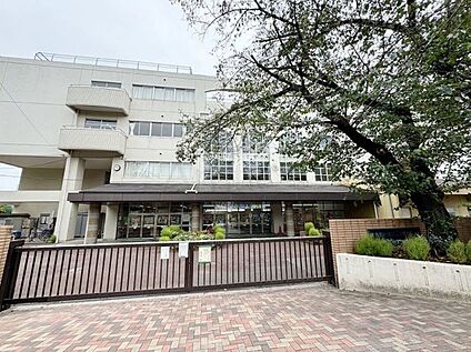 宮前中学校 550ｍ