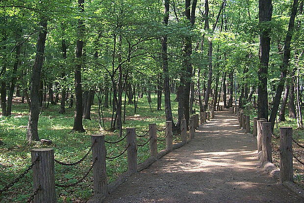 西原自然公園(約850m)