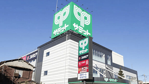 サミットストア本天沼店(約800m)