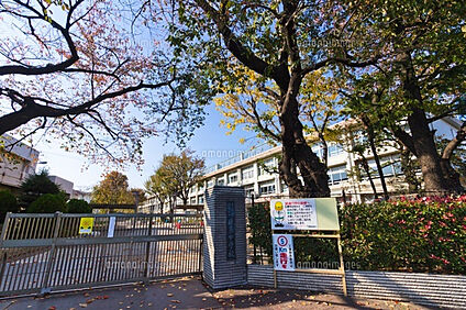練馬中学校 280ｍ