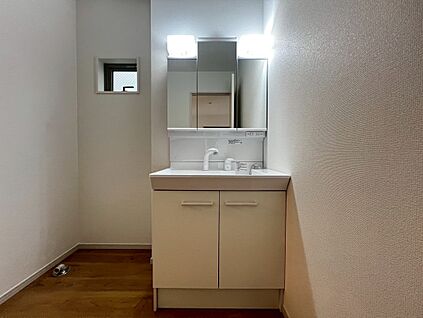 ３面鏡のシャワー付洗面台