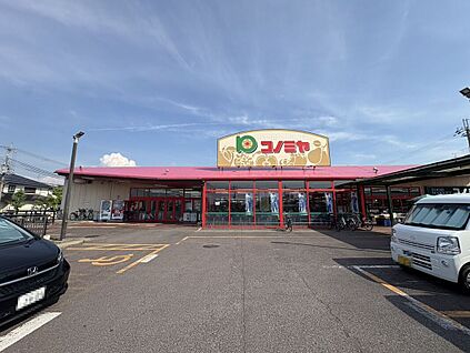コノミヤ狭山店 約772ｍ(徒歩１０分)