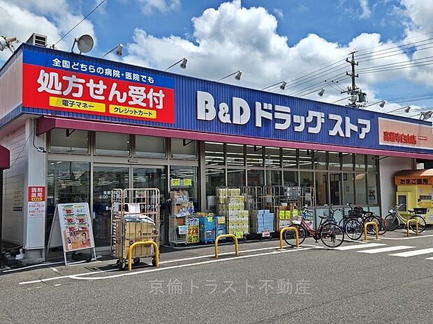 B＆Dドラッグストア高蔵寺白山店（約520m）