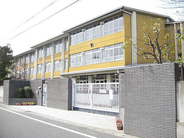 京都市立桂徳小学校(約490m)