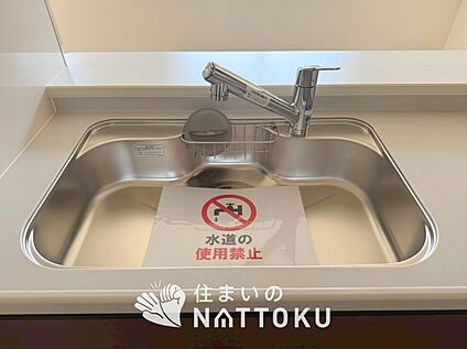 浄水器内臓ハンドシャワー付シンク