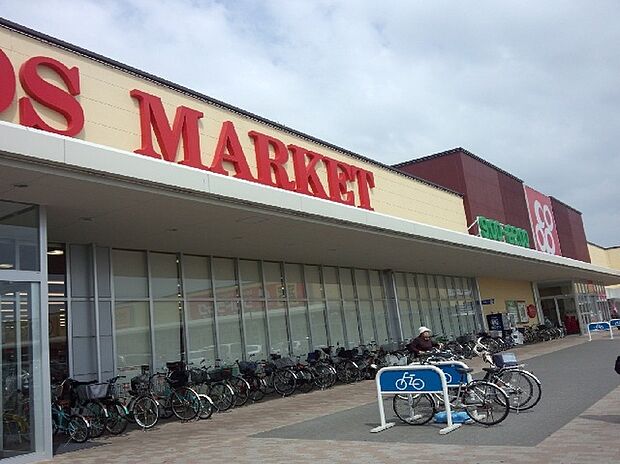 コープ貝塚店（約860m）