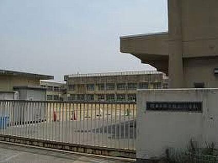 堺市立浜寺昭和小学校 316ｍ(徒歩4分)